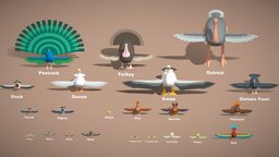 Animals Pack - Bird base, birds, pigeon, chick, basemesh, turkey, parrot, pack, duck, collection, hybrid, swan, peacock, rooster, ara, ostrich, goose, canary, finch, quail, hen, budgie, pheasant, lovebird, guineafowl, cockatiel, modeling, gameasset, animal, rigged, hypercasual, myna