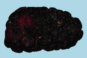 Blackberry fruit, vegetable, food, scanned