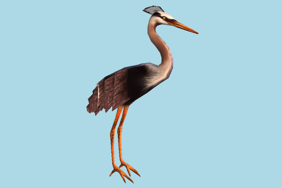 Blue Heron Legged Bird 3d model