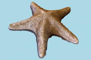 Star Fish starfish, star-fish, star, fish, sea-creature, ocean, scanned, meshroom