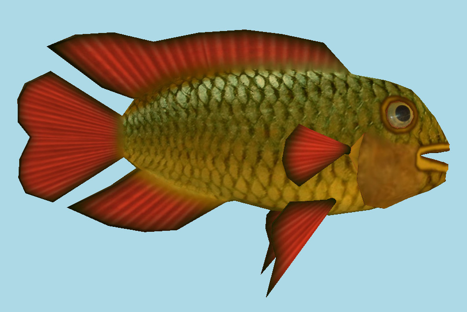 Fish 3d model