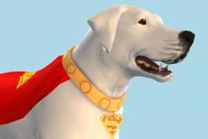 Dog Superman-Dog-2