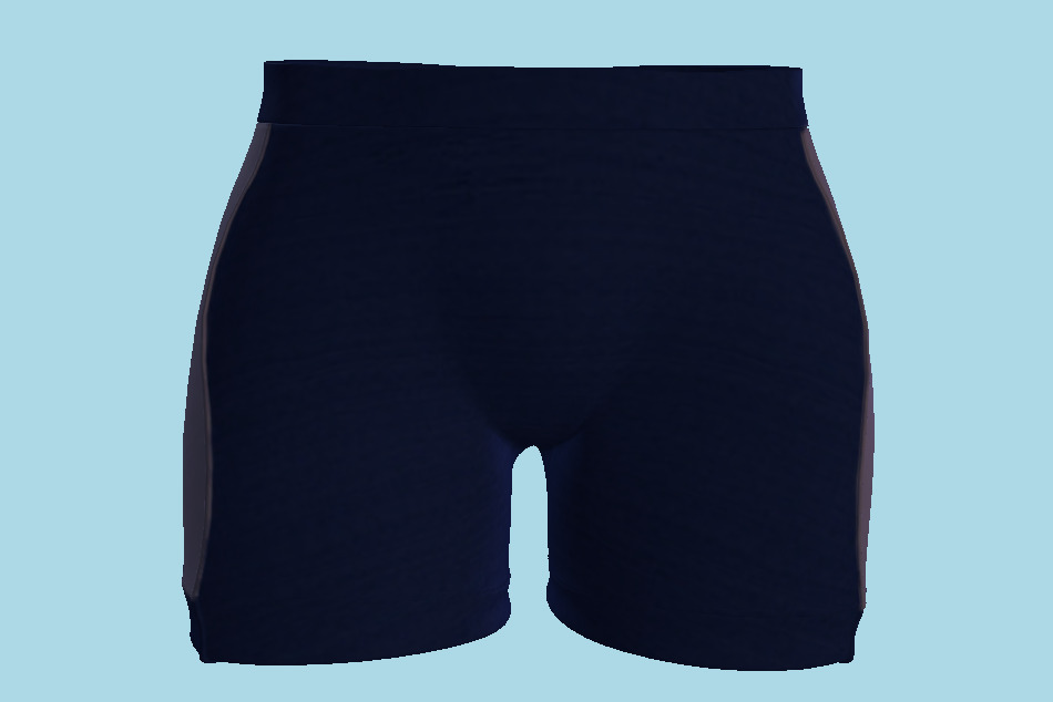 Men`s Sport Trunk Shorts 3d model