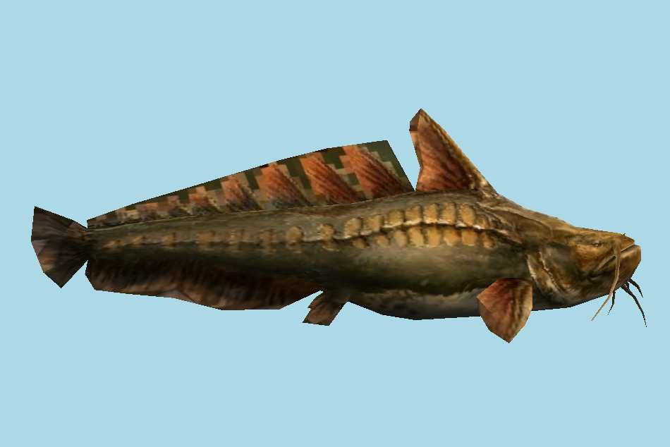Tri Fish 3d model