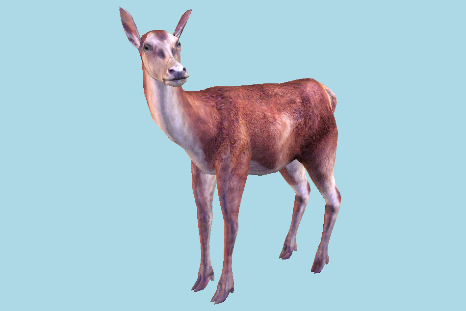 Deer Female 3d model