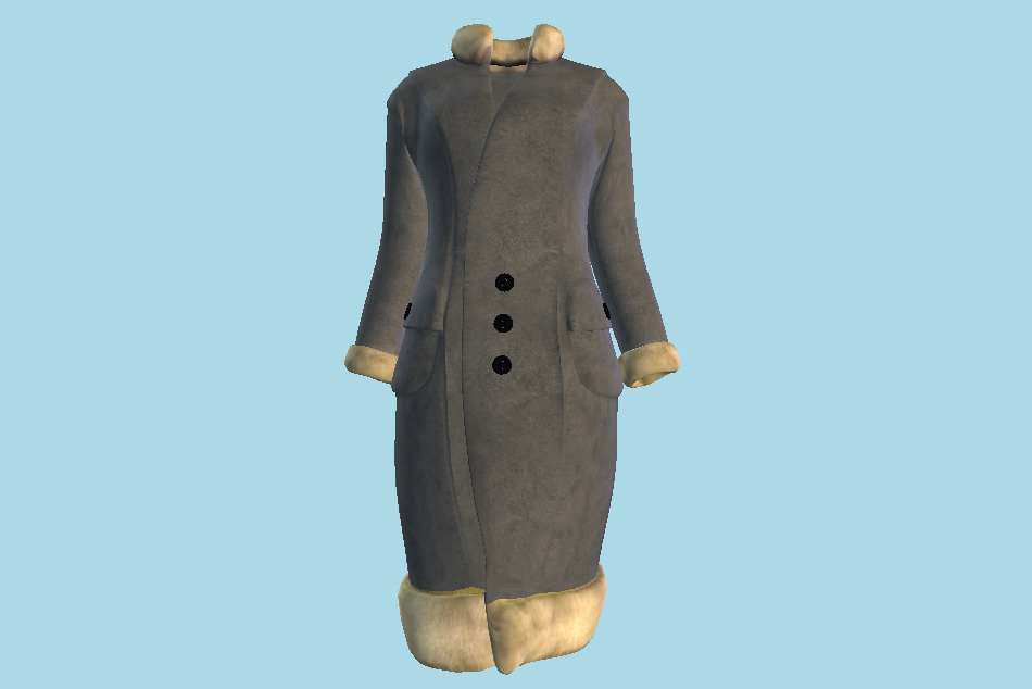 Fur Winter Coat 3d model