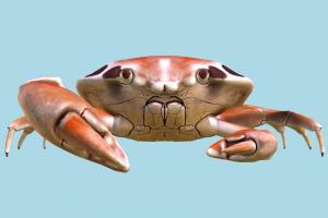 Crab Crab-2