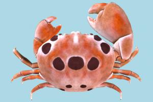 Crab Crab-4