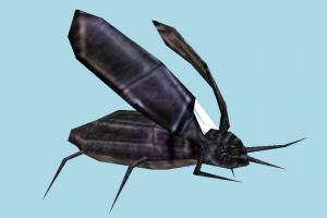 Cockroach cockroach, bugs, insects, creature, nature, lowpoly