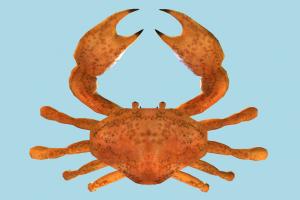 Crab Crab