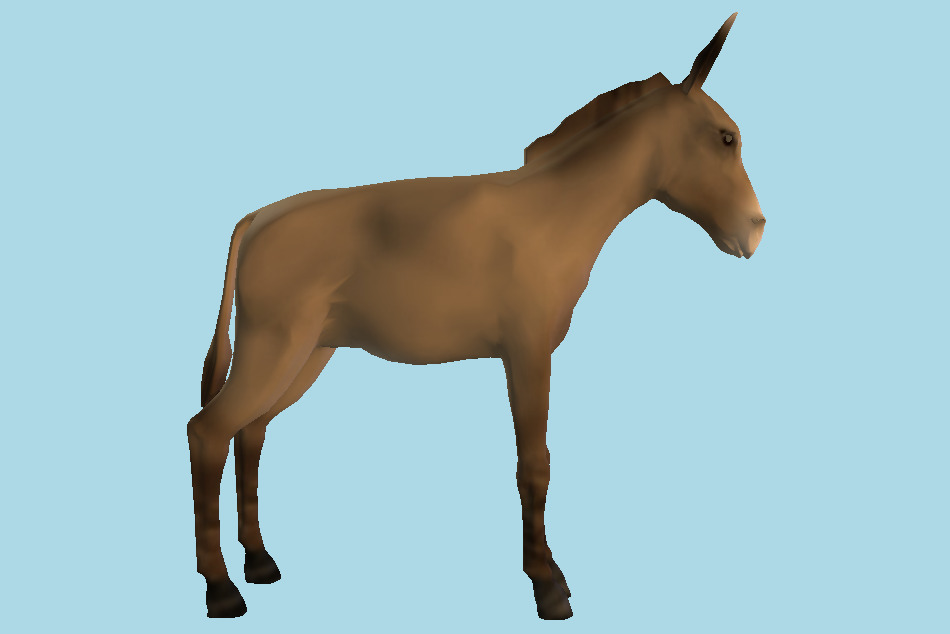 North American donkey 3d model