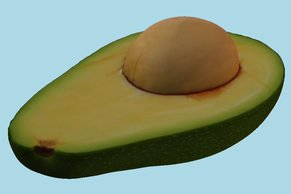 Half Green Avocado with the Pit 09 3d model