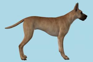 Great Dane Dog dog, animal, animals, wild, nature