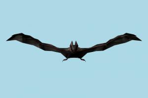 Bat Bat