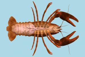 Crayfish Crayfish-2