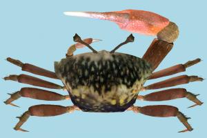 Crab Crab-2