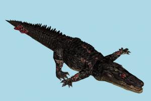 Alligator Alligator
