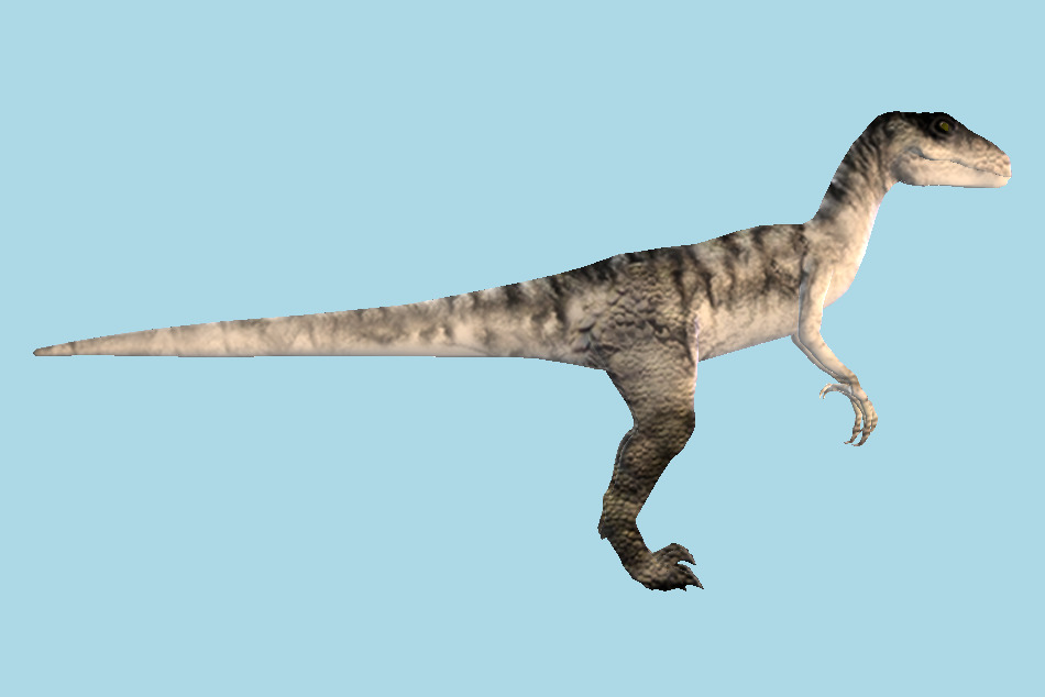 Deinonychus Deinonic Dinosaur 3d model