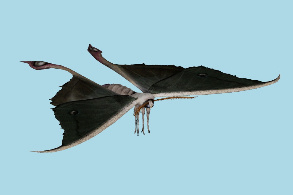 Resident Evil: Chronicles - Giant Luna Moth 3d model