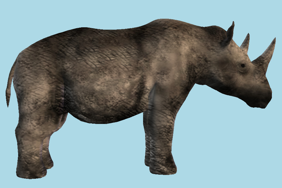 Black Rhinoceros Wild Animal 3d model