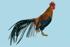 Rooster rooster, hen, chicken, poultry, bird, air-creature, nature