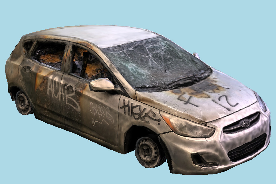 Protest Car Damaged 3d model