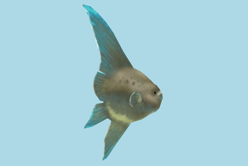 Fish 3d model