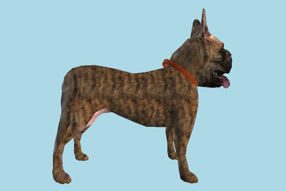 Anko Ugly Dog 3d model