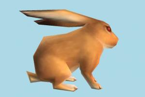 Rabbit rabbit, bunny, pet, animal, animals, garden, cartoon, lowpoly