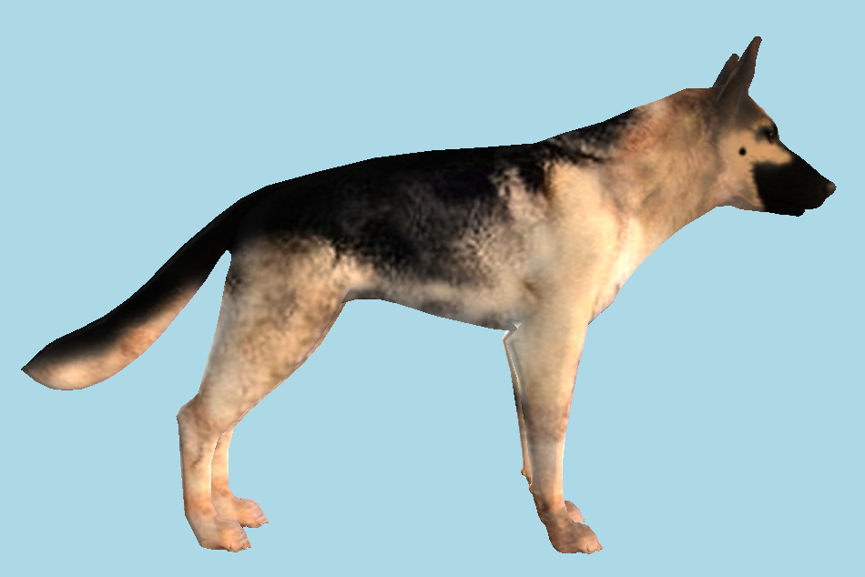 German Shepard Dog 3d model