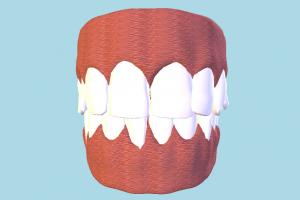 Teeth and Tongue Teeth-and-Tongue