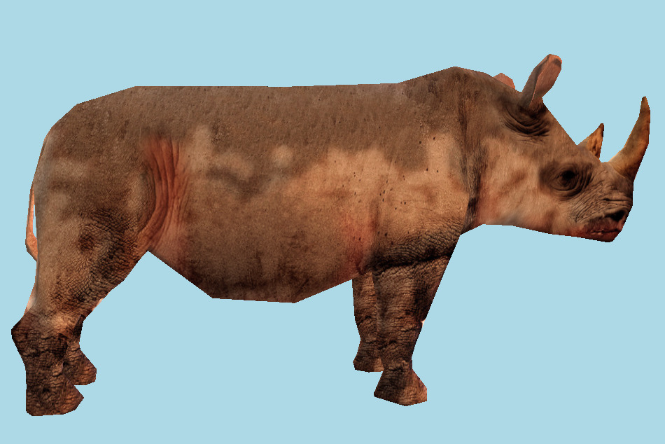 Rhinoceros Wild Animal Low-poly 3d model