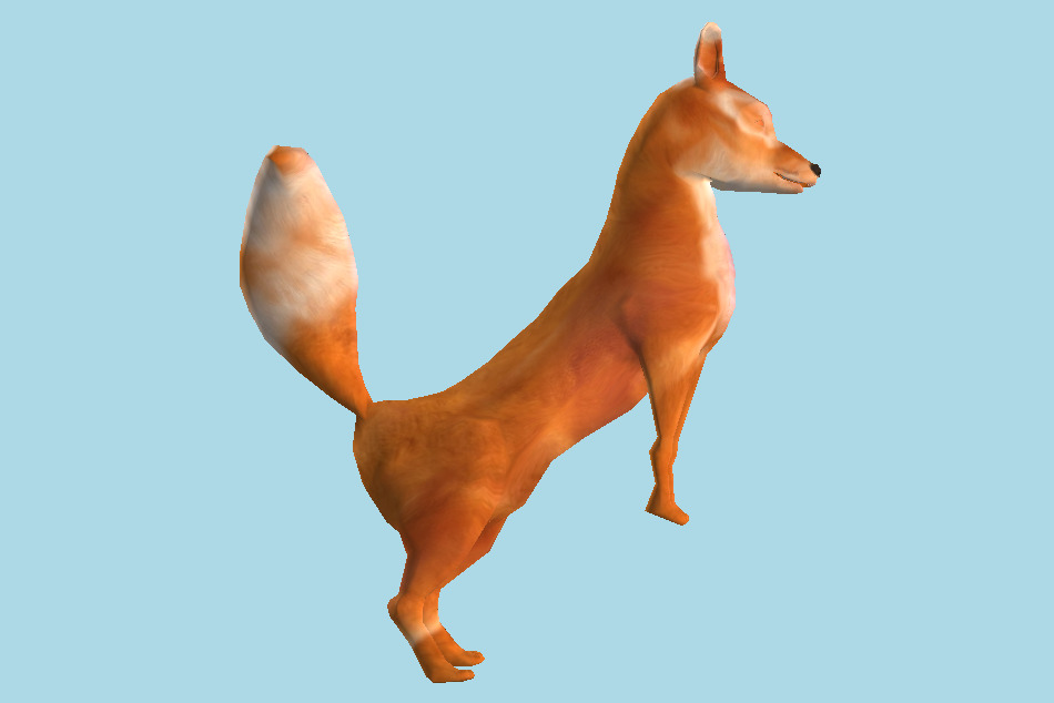 Red Fox 3d model