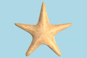 Star Fish starfish, star-fish, star, fish, sea-creature, ocean, meshroom, animals, aquarium, realistic, nature