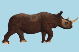 Rhinoceros 3d Models Free Download