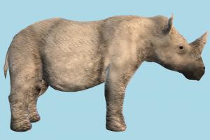 Rhino White Rhino