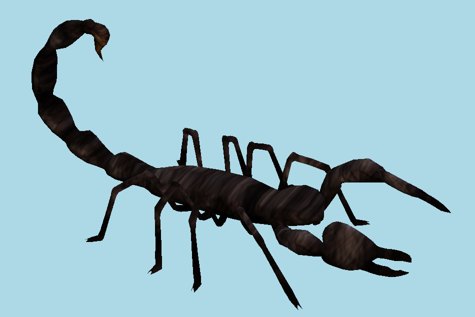 Black Scorpion 3d model