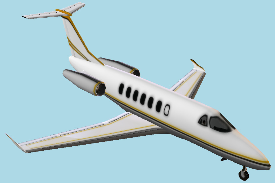 Private Jet Plane 3d model