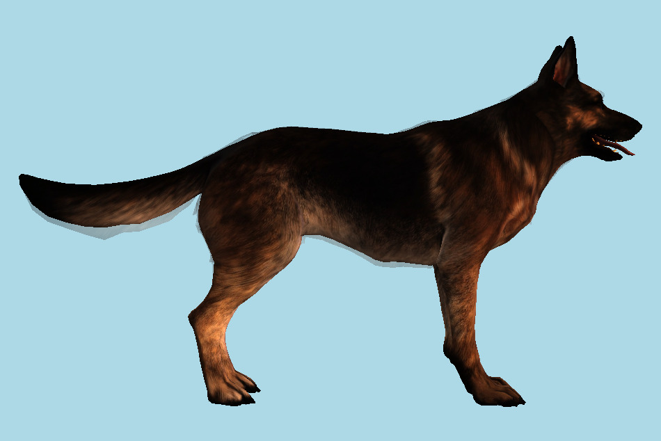 The Dog 3d model