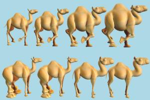 Camel Shapes camel, collection, animal, statue, sculpture, art, stone, marble, animals, wild, nature, mammal, ruminant, zoology, saudi, arabia, arabic