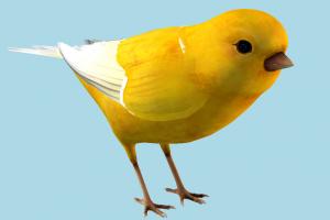 Bionic Bird chip, bird, chick, air-creature, nature