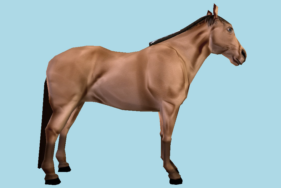Horse Animal Low-poly 3d model