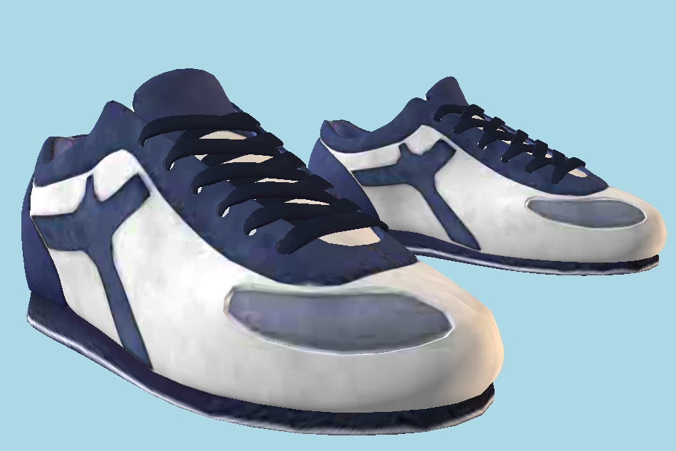 Sport Shoes 3d model