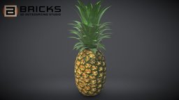 Pineapple pineapple, gamereadyasset, 3dgameasset, bricks3dstudio, vietnam3dartoutsource, pineapple3dmodel, pineapple3dasset, pineapplegameready, gamereadypineapple