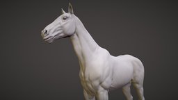 Realistic Horse Sculpt deco, mammal, gift, statue, stallion, horse, animal, sculpture
