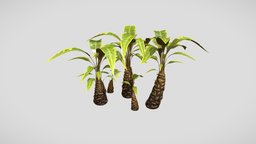 Palm tree set vol3 Cartoon Stylized Hand painted tree, plant, flora, tropical, exterior, palm, leaf, nature, palmtree, cartoontree, handpainted, cartoon, pbr, lowpoly, stylized, simple, environment