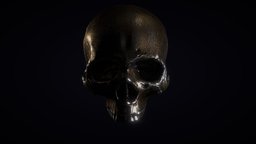 Metal Skull head, skull, scan, 3dscan