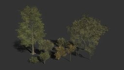 Tree Pack (Low-Poly) tree, green, plant, plants, palm, vegetation, nature, vegitation, mobilegames, mobile-ready, atlastexture, low-poly, mobile