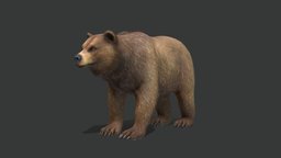 Bear bear, forest, wild, brown, grizlie, grizzly, animal, animated, noai