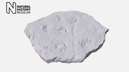 Footprints of an ancient fossil amphibian track, laserscanning, cast, claws, toes, footprint, print, museum, plastercast, laserscan, specimen, amphibian, prehistoric
